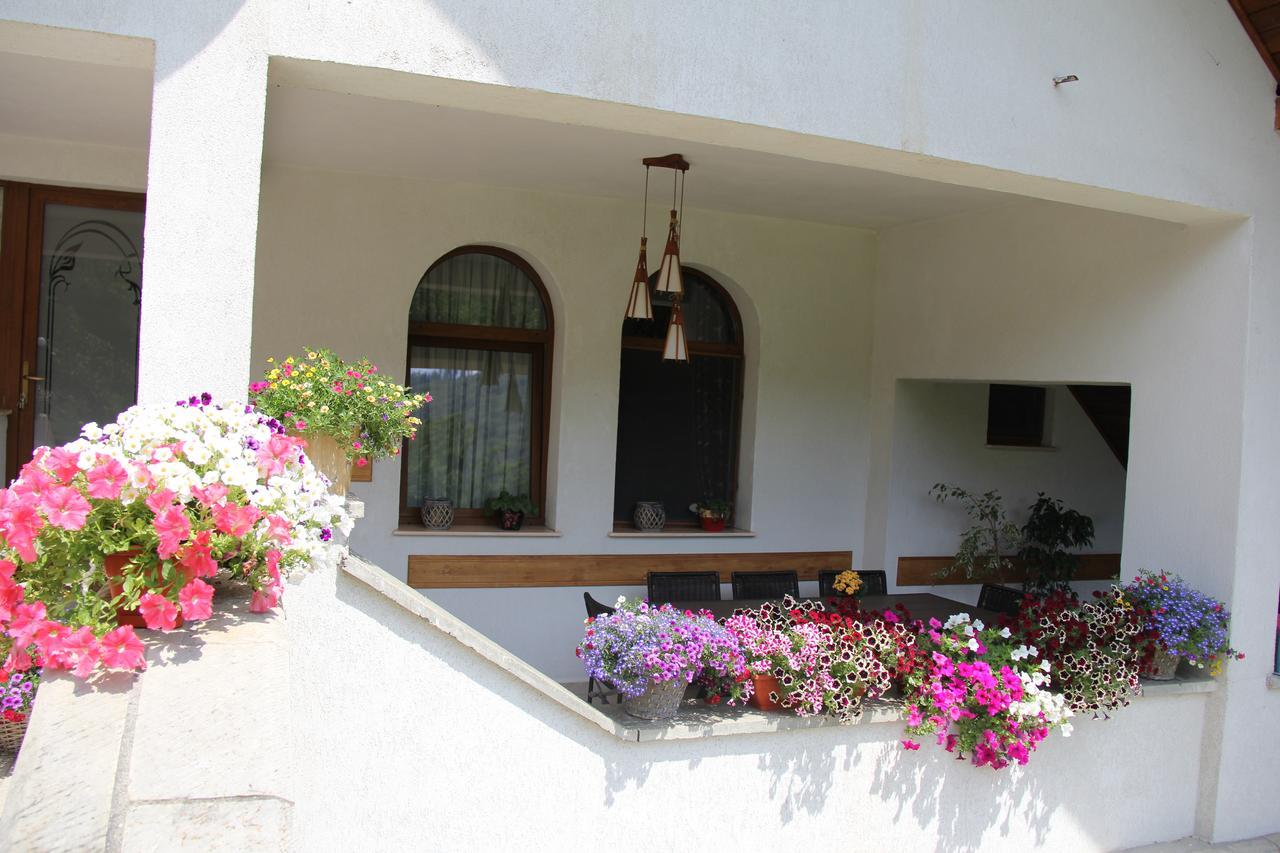 Castelul De Smarald Bed & Breakfast Pangaracior Dış mekan fotoğraf